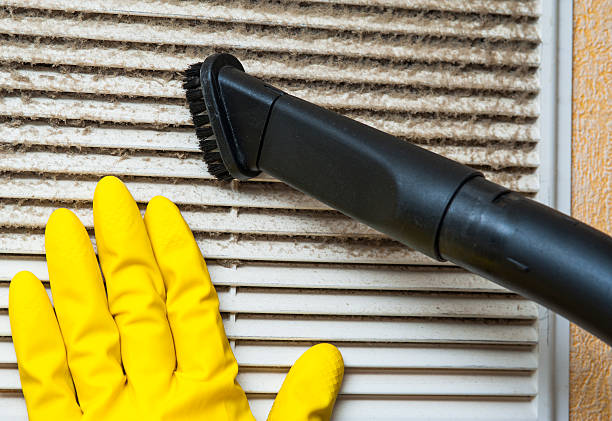 Best Air Duct Sanitizing Services  in Canastota, NY